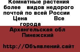 Комнатные растения более200видов недорого почтой по всей России › Цена ­ 100-500 - Все города  »    . Архангельская обл.,Пинежский 